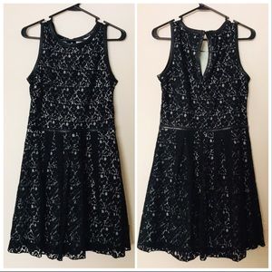 Speechless Black Lace Fit n Flare Skater Dress